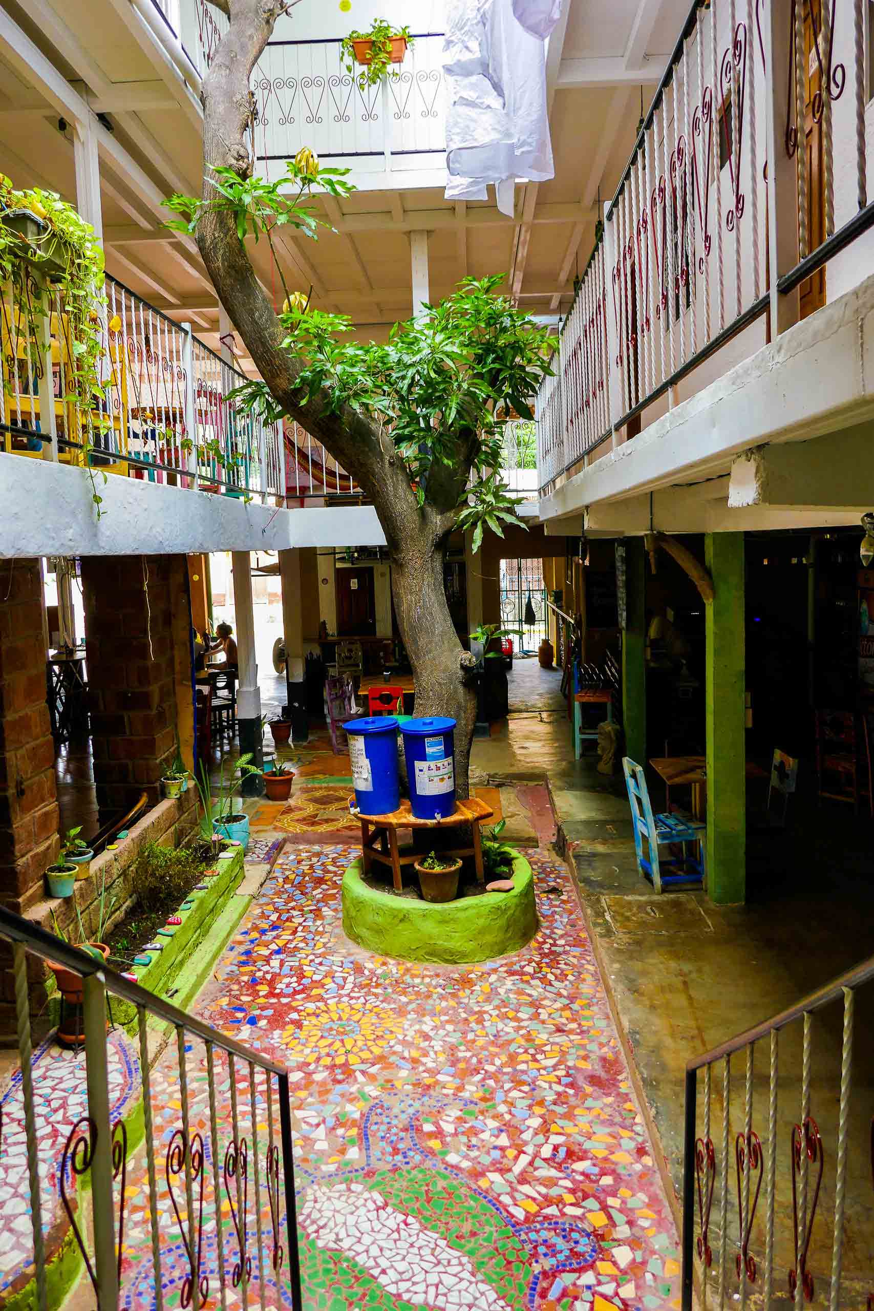 Casa Oro Group Casa-Oro-Eco-Hostel-San-Juan-del-Sur-Nicaragua-Center-Courtyard-Mango-Tree-Turtle-Mosaic-Responsible-Travel Casa Oro Eco Hostel 