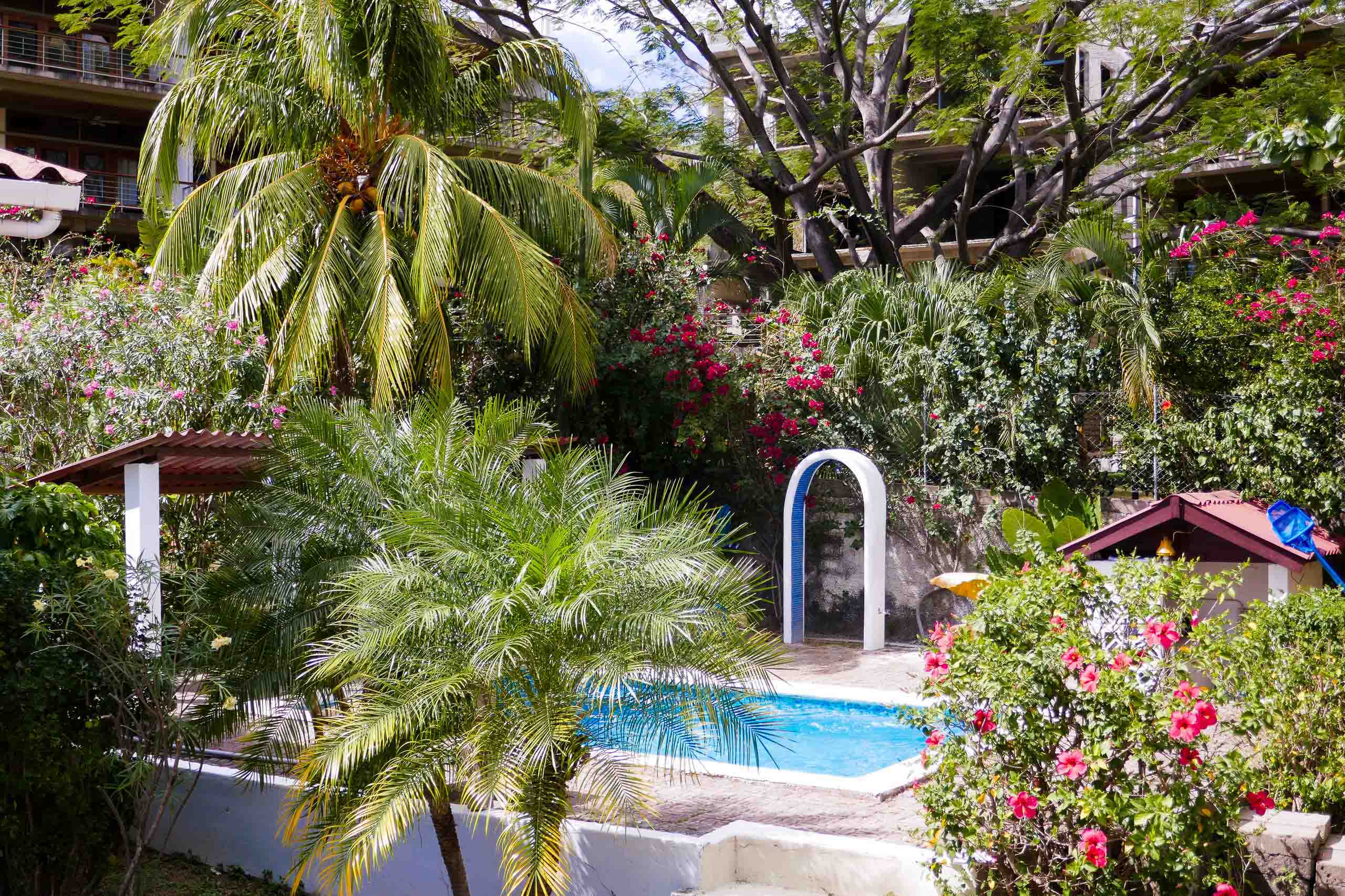 Casa Oro Group El-Pacifico-Hotel-San-Juan-del-Sur-Nicaragua-Talanguera-Eco-Hotel-Swimming-Pool-Trees-Flower-Coconut-Nature Accommodations 