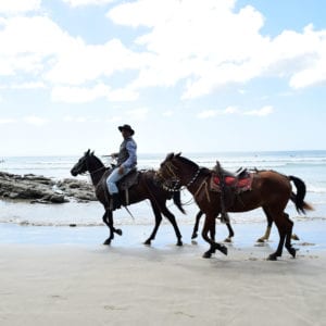 Casa Oro Group Casa-Oro-Group-Experiences-Activities-Eco-Tour-Adventure-Travel-Responsible-Travel-San-Juan-del-Sur-Nicaragua-Horseback-Riding-Playa-Maderas-Rustic-Authentic-Nature-Eco-Conscious-Heritage-300x300 Experiences 