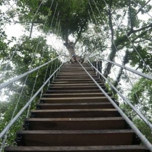 Casa Oro Group Casa-Oro-Group-Experiences-Activities-Eco-Tour-Adventure-Travel-Responsible-Travel-San-Juan-del-Sur-Nicaragua-Parque-Aventuras-Stairway-Zip-Line-Expedition-Trees-Canopy-Nature-Thrill-300x300 Casa Oro Group 