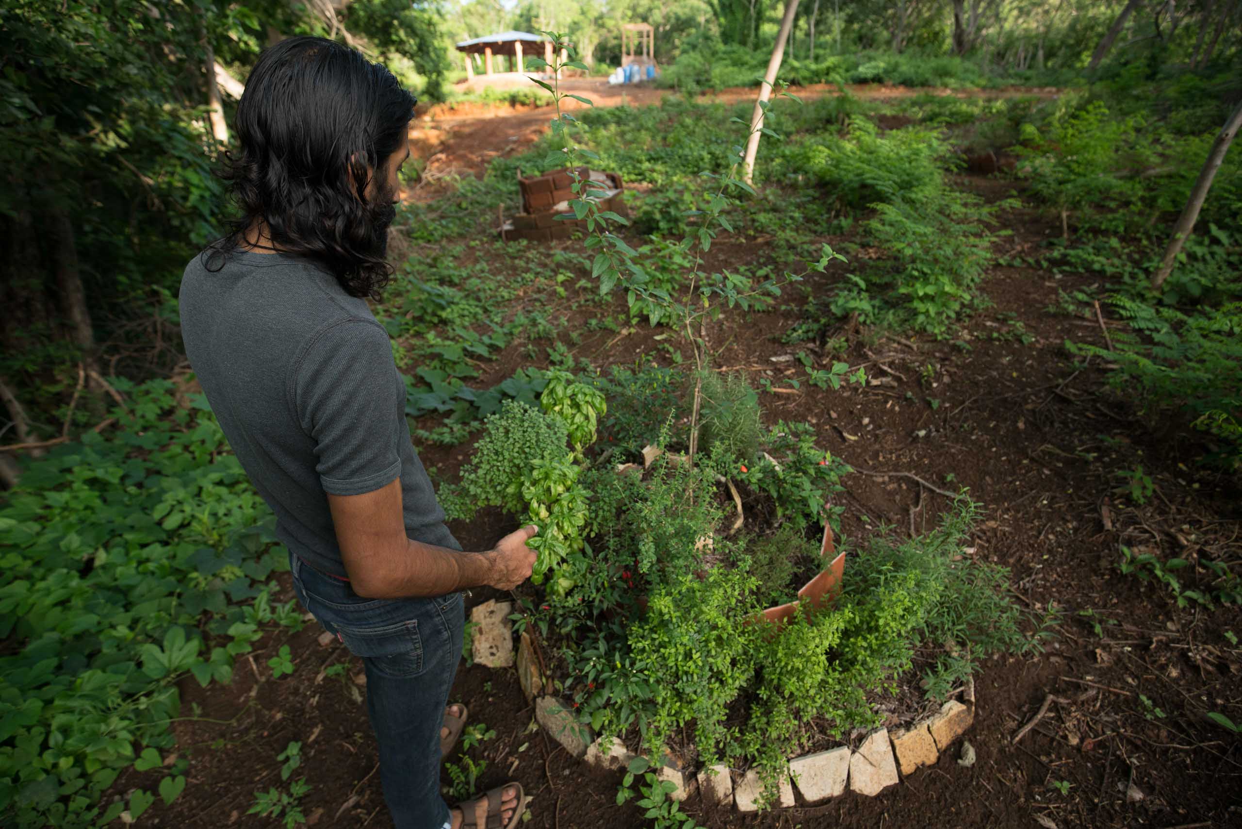 Casa Oro Group Casa-Oro-Group-Rancho-Regeneracion-Regeneration-San-Juan-del-Sur-Nicaragua-Community-Eco-Tourism-Organic-Garden-Herbs-Natural-Permaculture About 